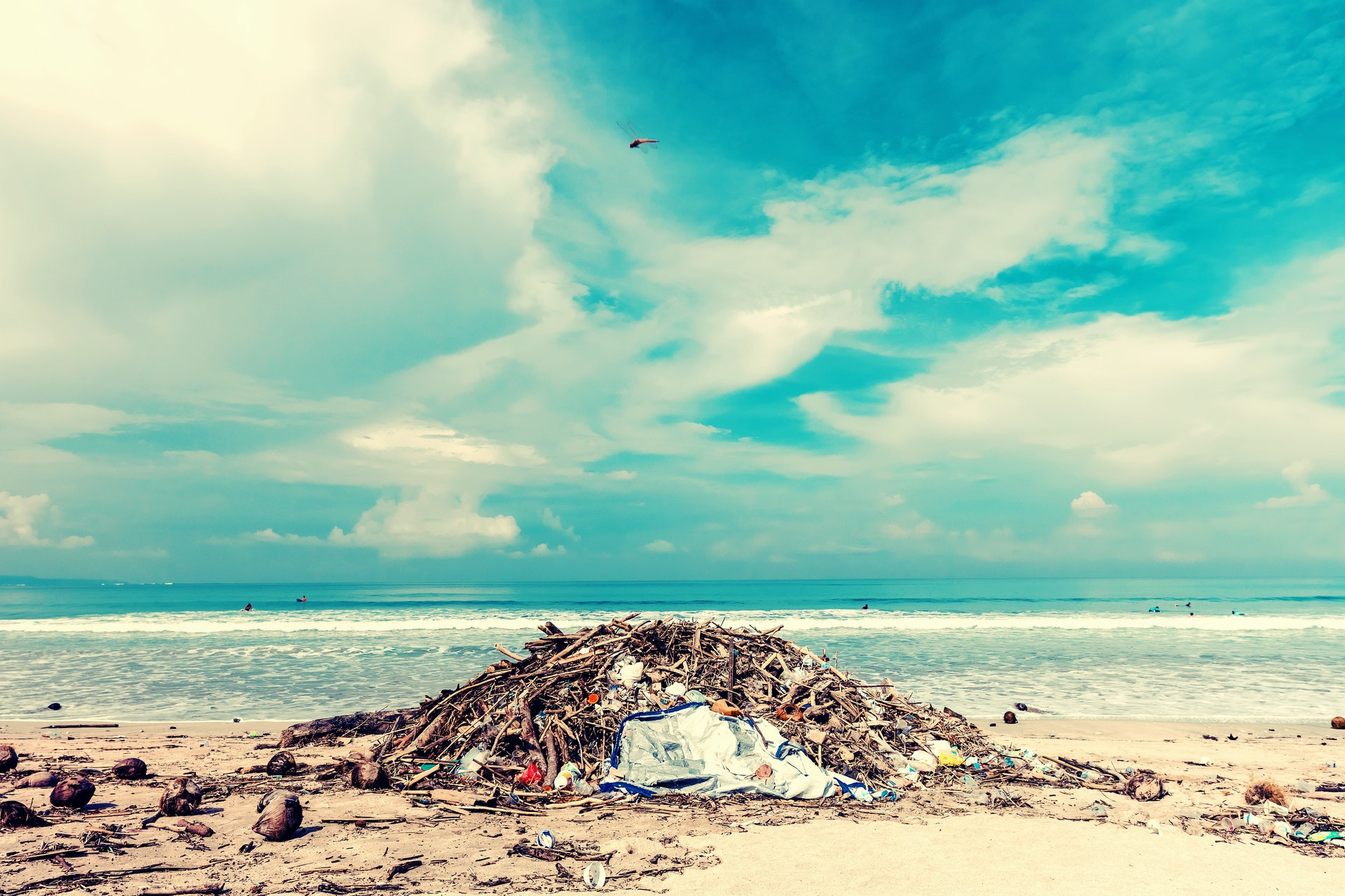 How can we save Bali and our Oceans from Plastic pollution?